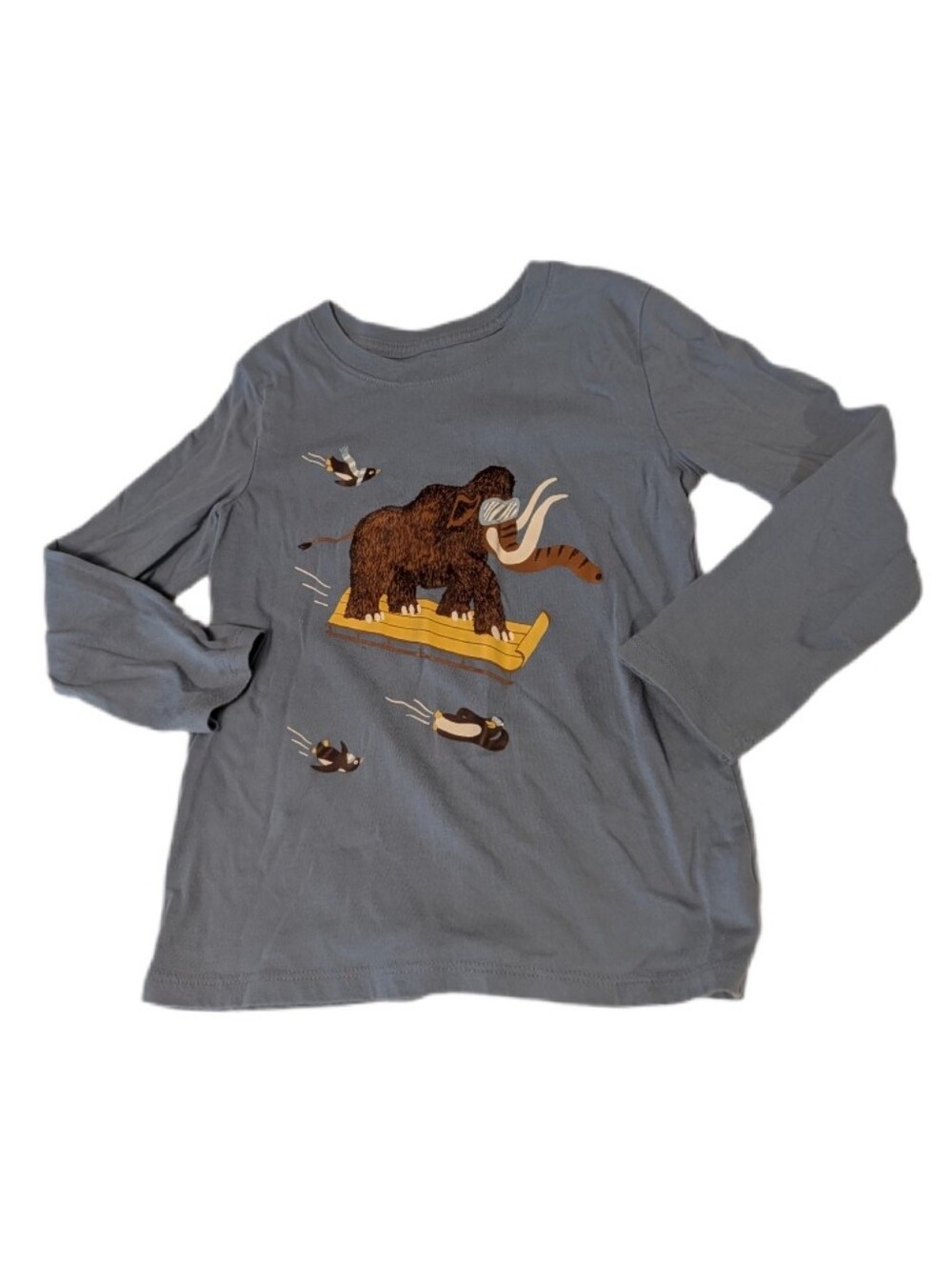 💥 Cat & Jack Kids Long-Sleeve Mammoth Graphic Tee - Blue 5T
